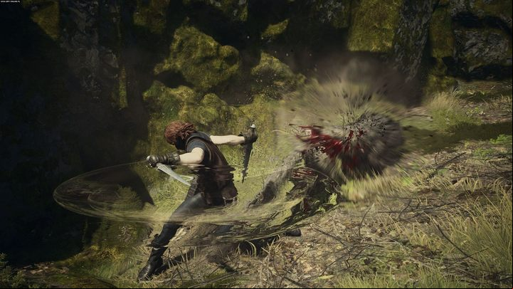 3 - Dragons Dogma 2: All Vocations, classes - Basics - Dragons Dogma 2 Guide