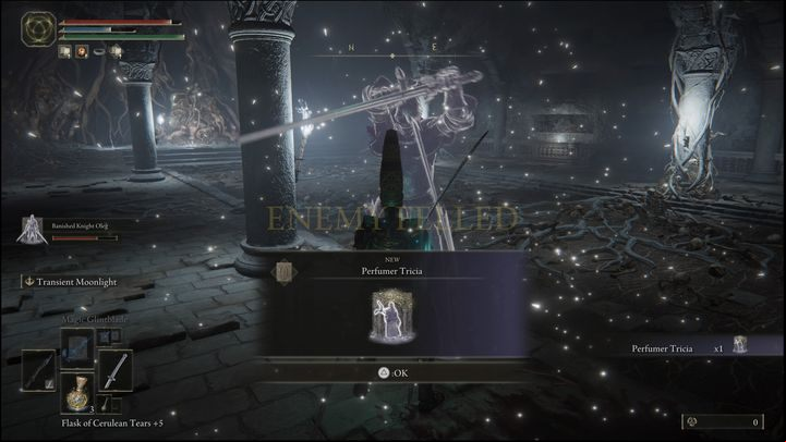 For defeating them you will receive Perfumer Tricia Ashes and 9,400 Runes - Elden Ring: How to beat Perfumer Tricia and Misbegotten Warrior? - Altus Plateau - Elden Ring Guide