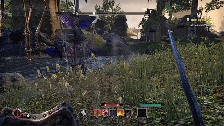 The chase can happen not only if you have high Infamy Meter and Bounty, but also if you decide to escape (Flee option) after being stopped by a guard - ESO: Justice System - crimes, penalties system - Game guide - The Elder Scrolls Online Guide