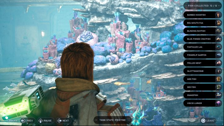 The main reward for finding all 12 fish is a silver Skoova Diving trophy - Jedi Survivor: All fish - Unique Collectibles - Star Wars Jedi Survivor guide